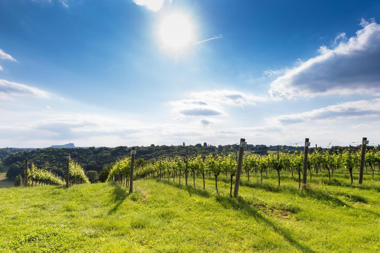 Apartament Himmlisch Urlauben Söchau Zewnętrze zdjęcie